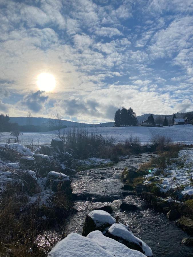 Gite Au Cours D'Eau Le Hohwald Bagian luar foto