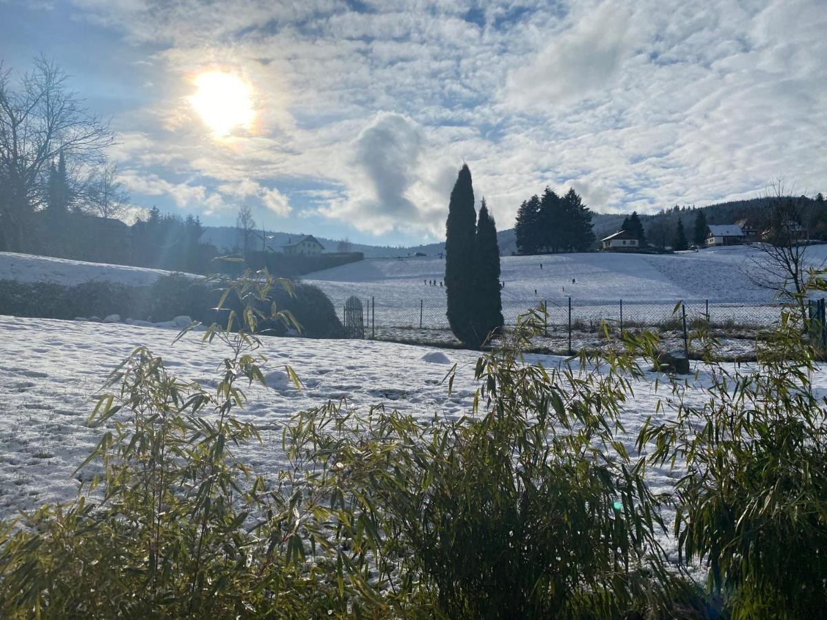 Gite Au Cours D'Eau Le Hohwald Bagian luar foto
