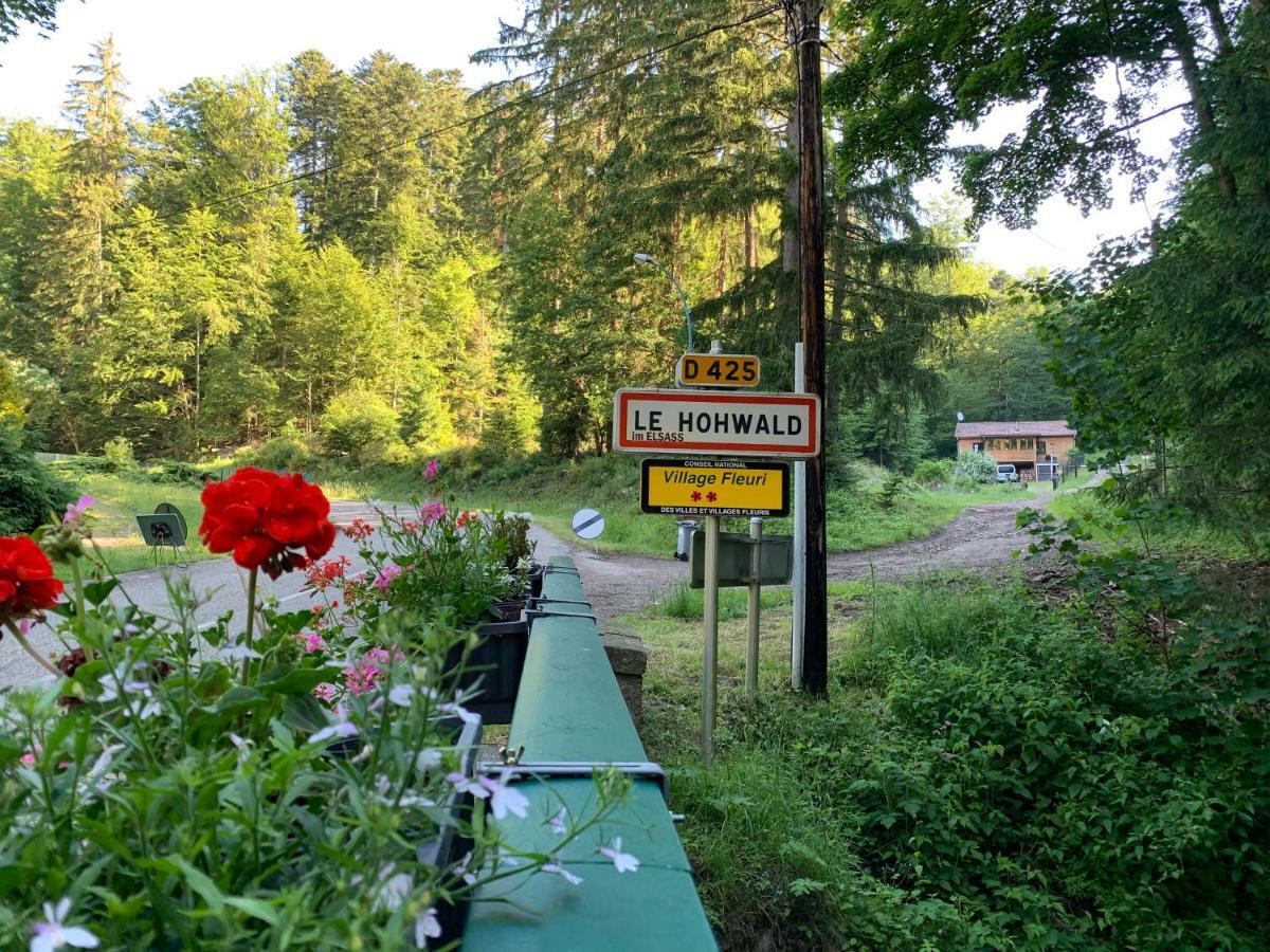 Gite Au Cours D'Eau Le Hohwald Bagian luar foto